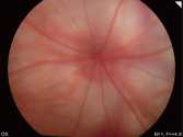 image (1)